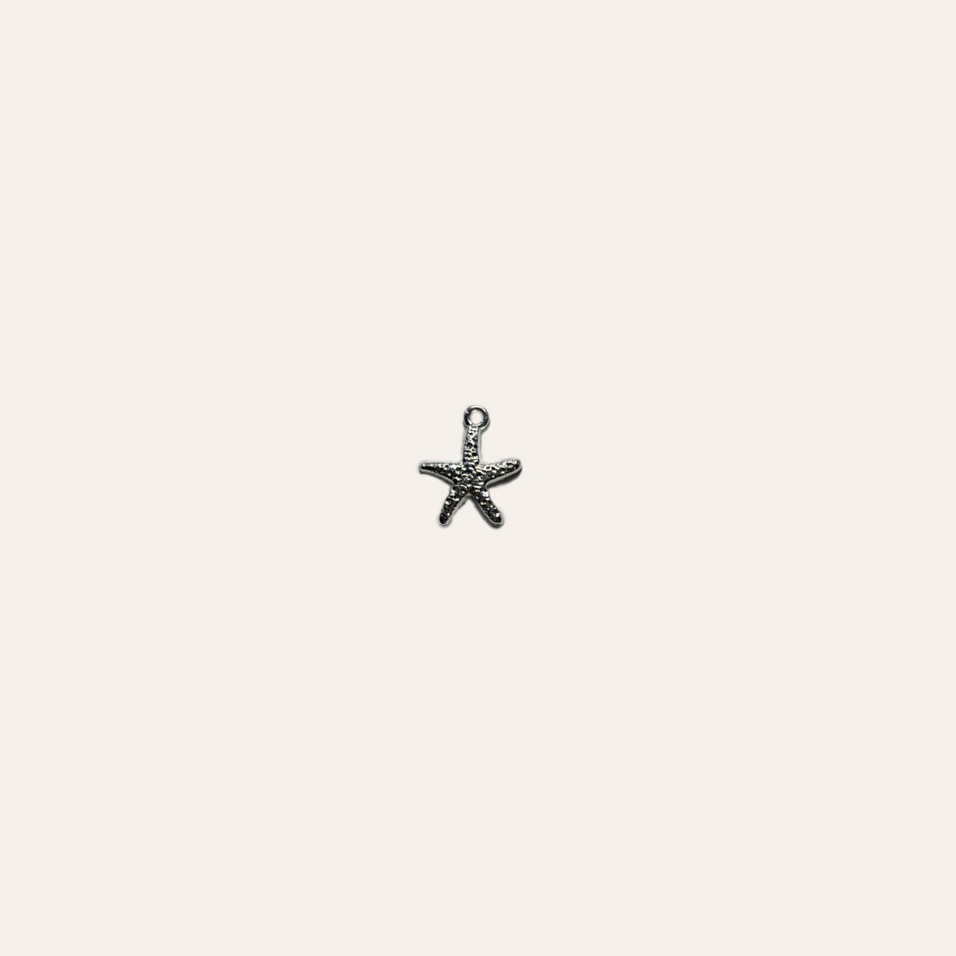 Silver Starfish