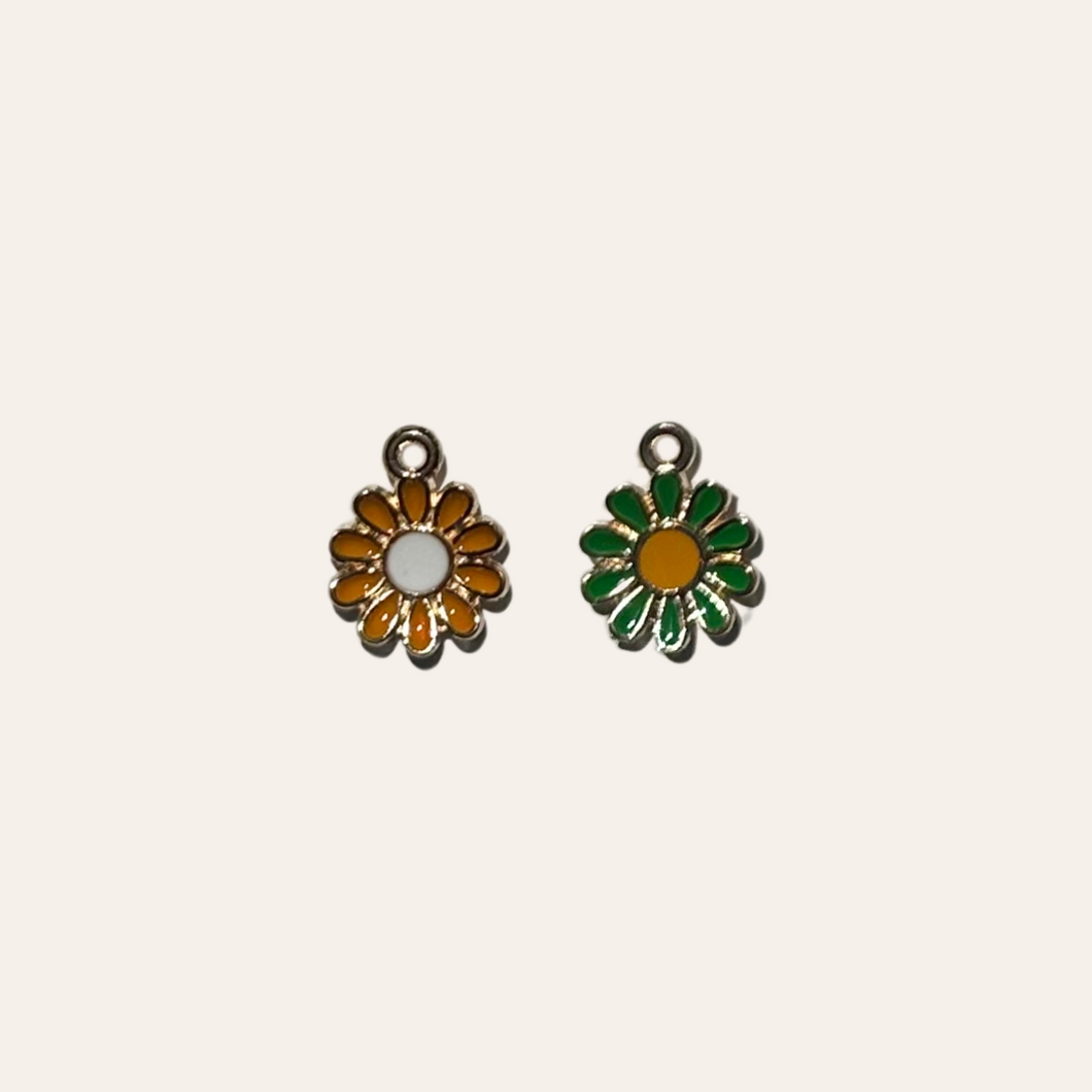 Colour Daisy