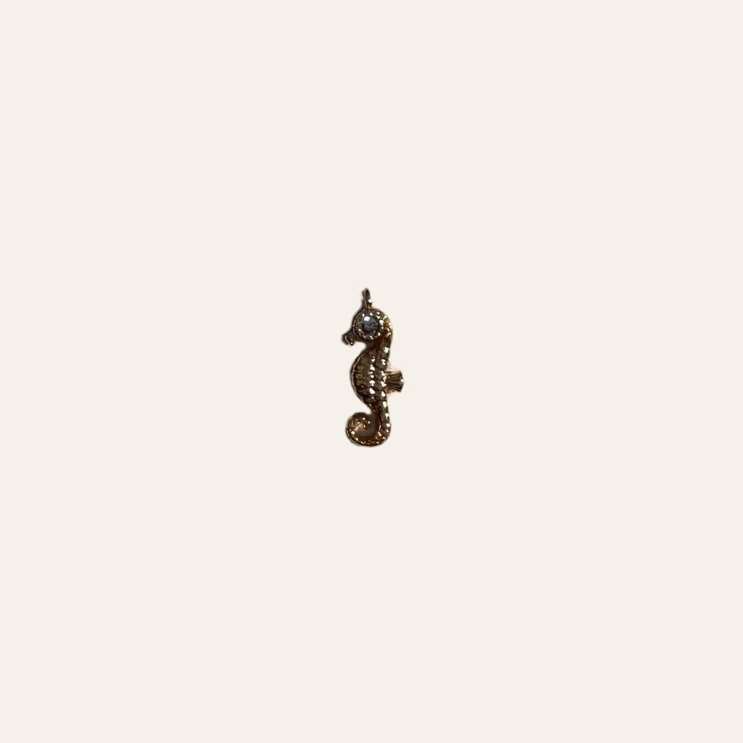 Seahorse