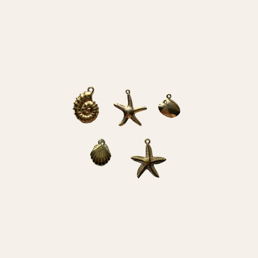 Shells and Starfish