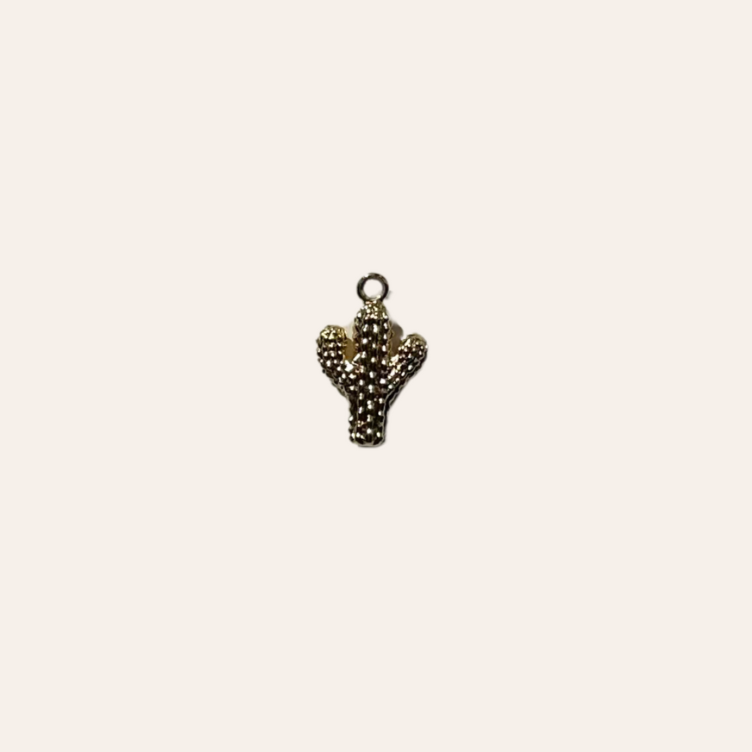 Mini Cactus